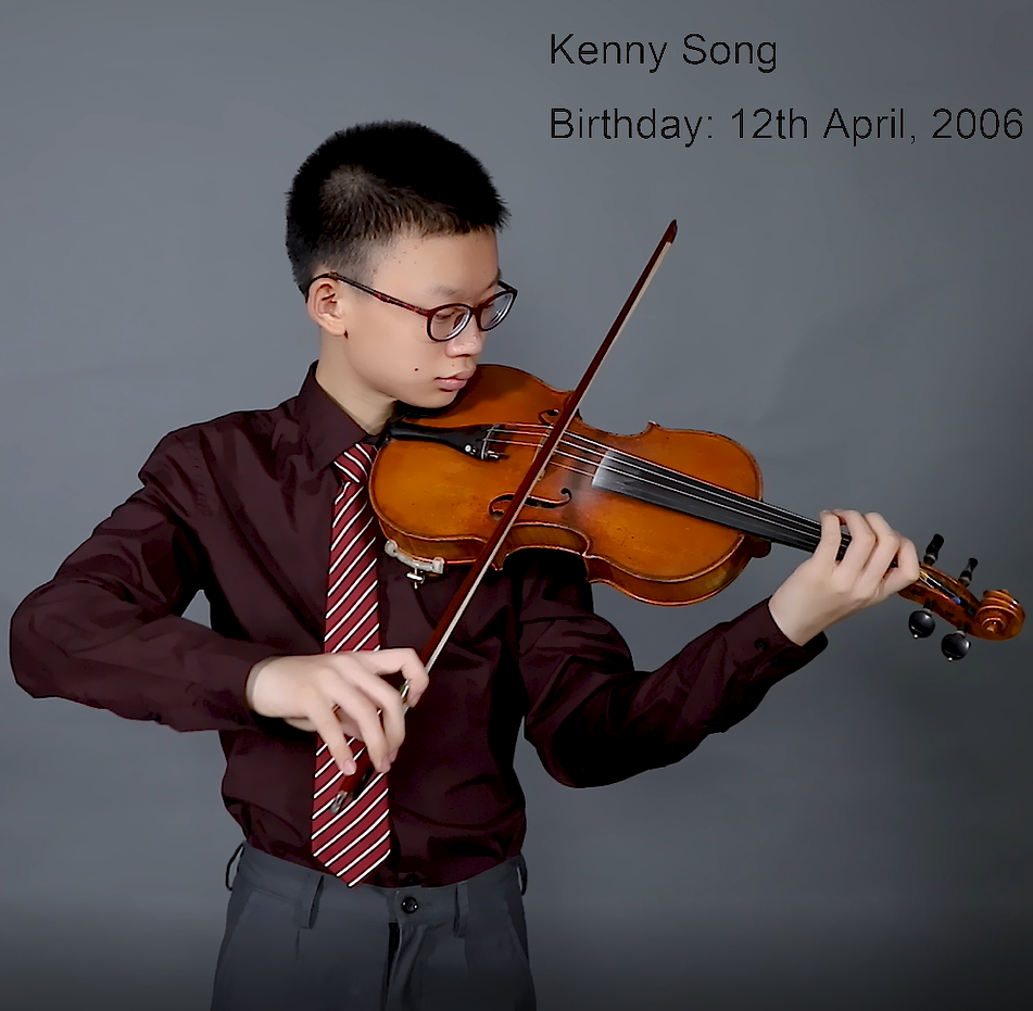 Watch Carbon fiber violin bow VINGOBOW 120V on Amazon Live